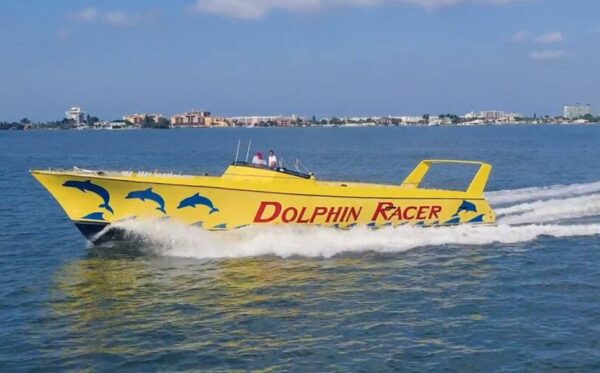 dolphin-racer-cruise-boat-running